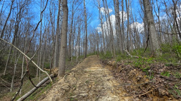 Tract 1 at Muskingum Woods property photo