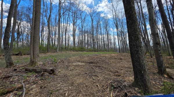 Tract 1 at Muskingum Woods property photo