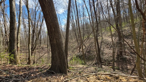 More of Tract 1 at Muskingum Woods