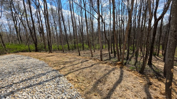 More of Tract 1 at Muskingum Woods