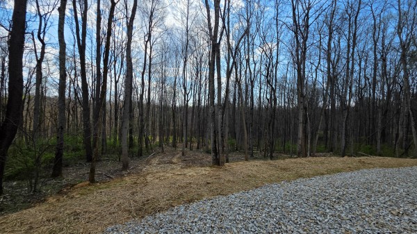 More of Tract 1 at Muskingum Woods