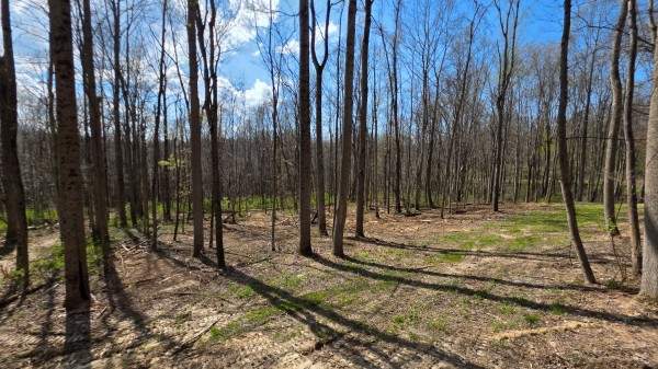 More of Tract 1 at Muskingum Woods