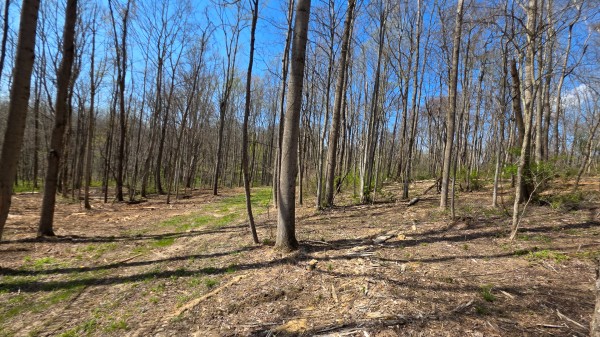 Tract 1 at Muskingum Woods property photo