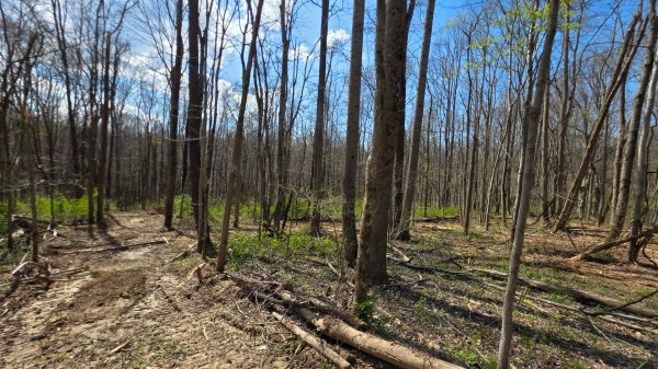 Tract 1 at Muskingum Woods property photo