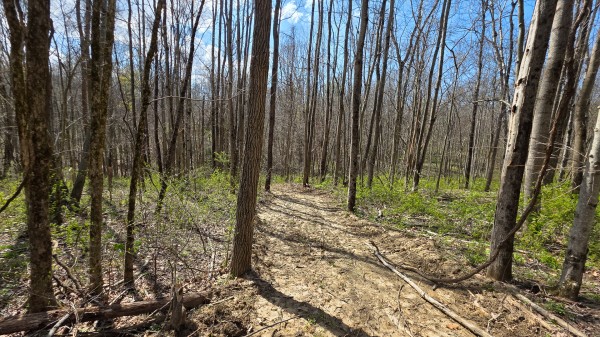 Tract 1 at Muskingum Woods property photo