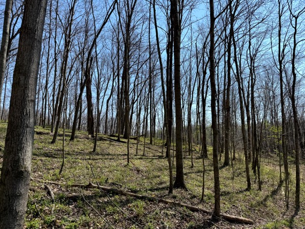 Tract 3 - The Woods at Little Kyger property photo