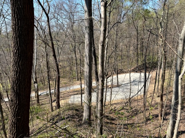 Tract 3 - The Woods at Little Kyger property photo