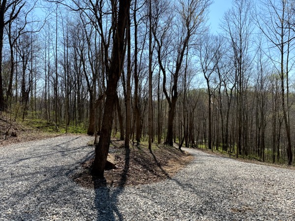 Tract 3 - The Woods at Little Kyger property photo