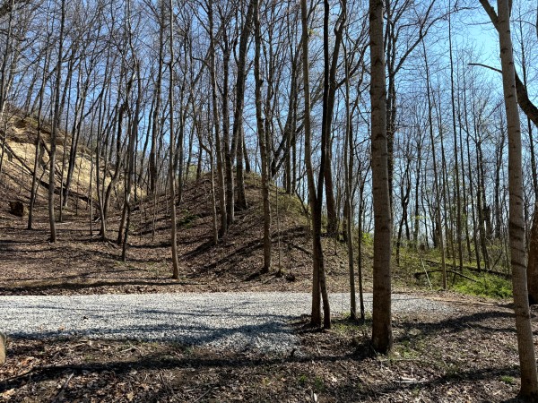 Tract 3 - The Woods at Little Kyger property photo