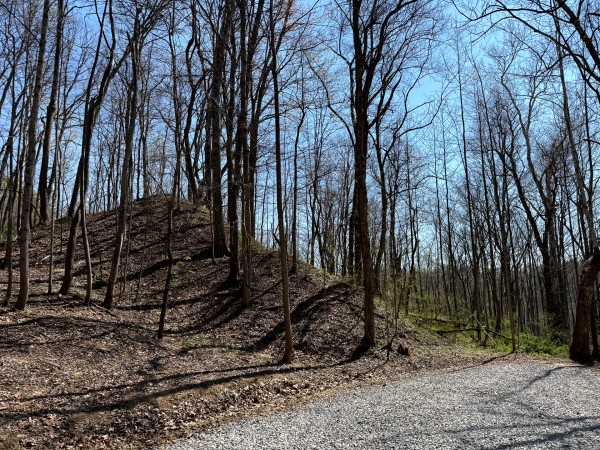 Tract 3 - The Woods at Little Kyger property photo
