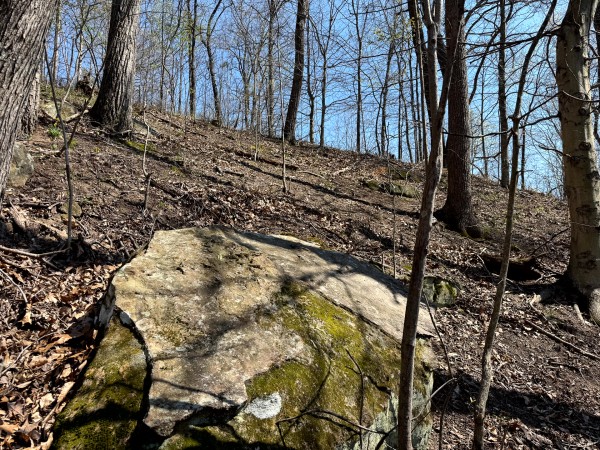 Tract 3 - The Woods at Little Kyger property photo