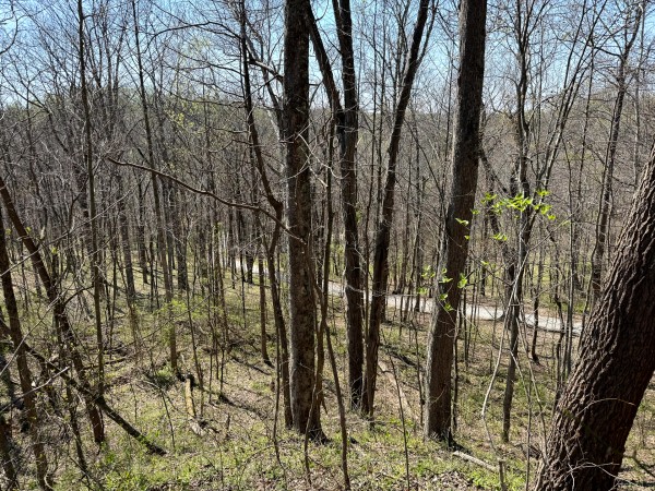 Tract 3 - The Woods at Little Kyger property photo