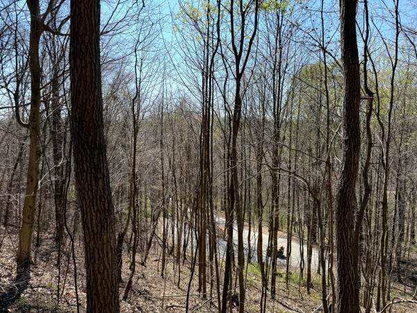 Tract 3 - The Woods at Little Kyger property photo