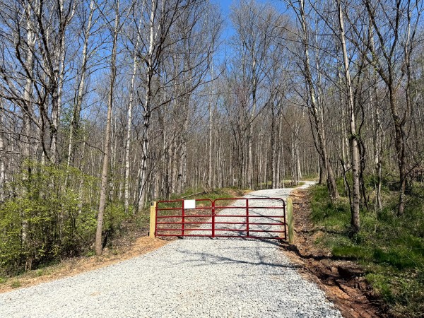 More of Tract 3 - The Woods at Little Kyger