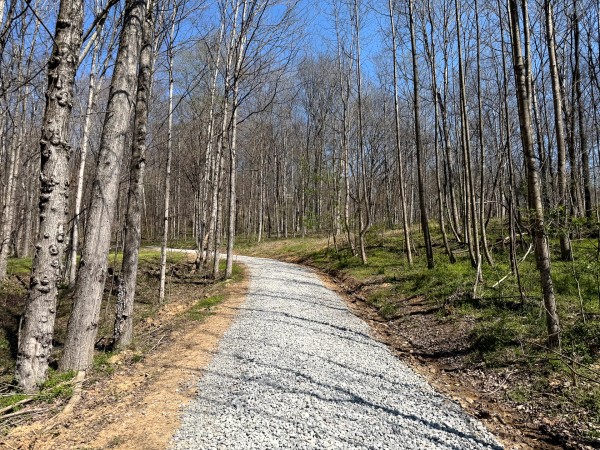 More of Tract 3 - The Woods at Little Kyger