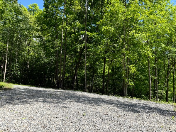 Tract 2 - The Woods at Little Kyger property photo