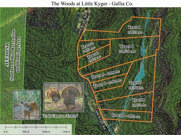 Tract 2 - The Woods at Little Kyger property photo