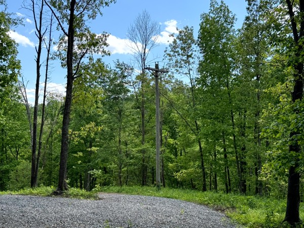 More of Tract 2 - The Woods at Little Kyger