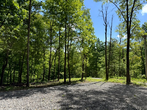More of Tract 2 - The Woods at Little Kyger