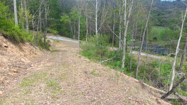 Elkins Creek House property photo