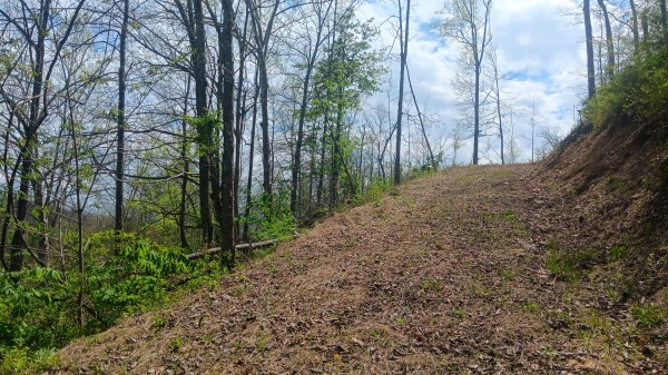 Elkins Creek House property photo
