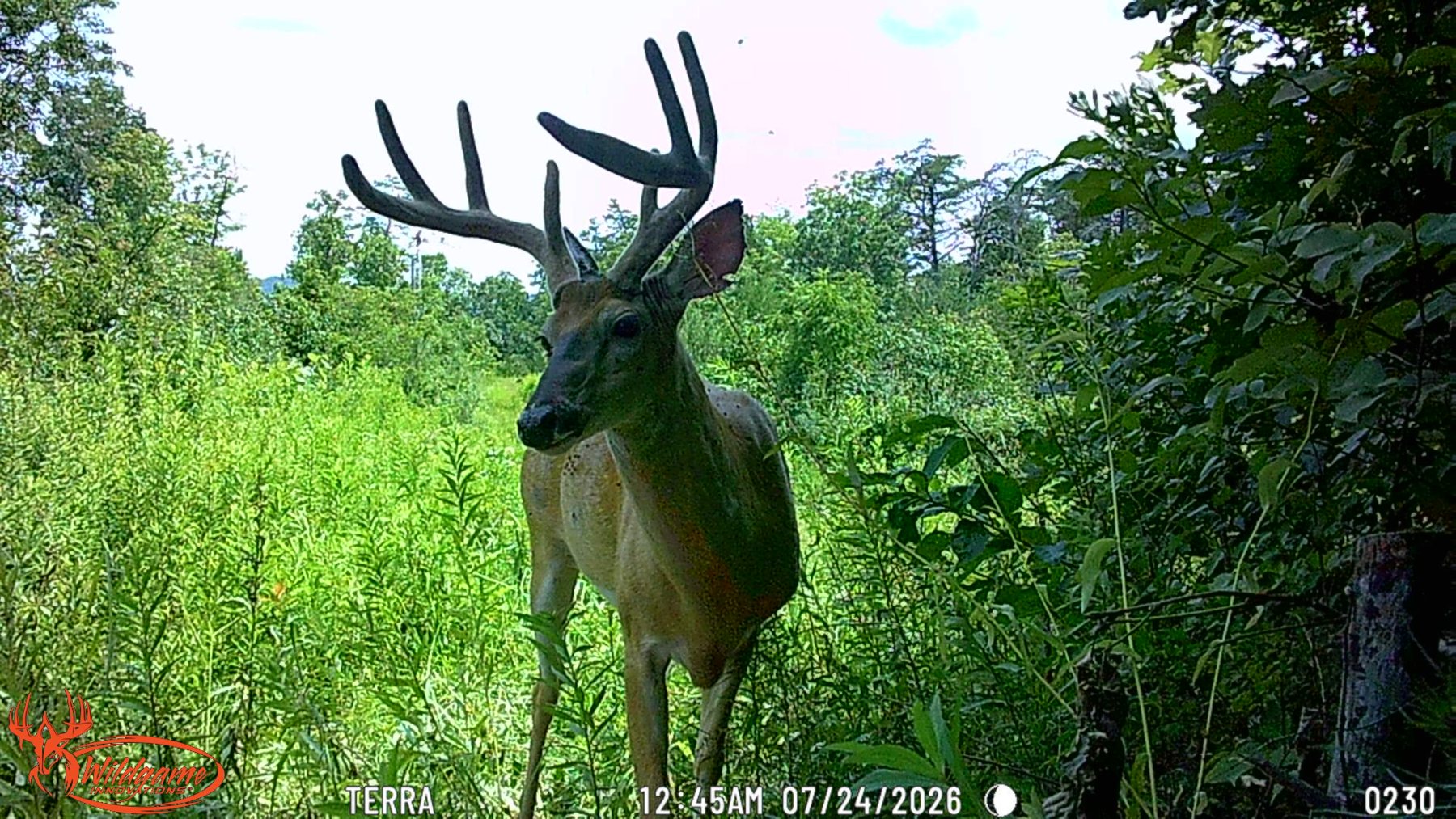 Elkins Creek House property photo