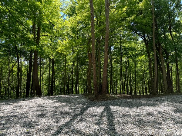 Tract 4 - The Woods at Little Kyger property photo