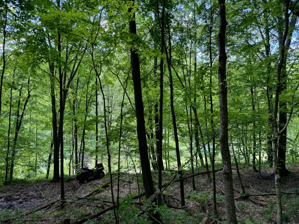 Tract 4 - The Woods at Little Kyger property photo