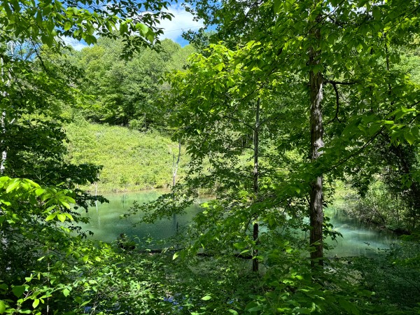 Tract 4 - The Woods at Little Kyger property photo