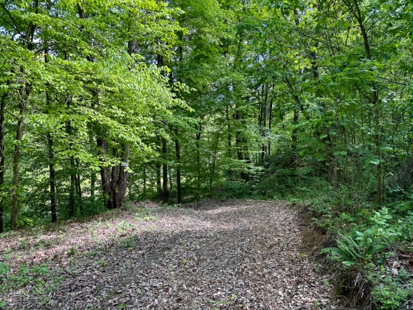Tract 4 - The Woods at Little Kyger property photo