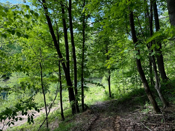 Tract 4 - The Woods at Little Kyger property photo