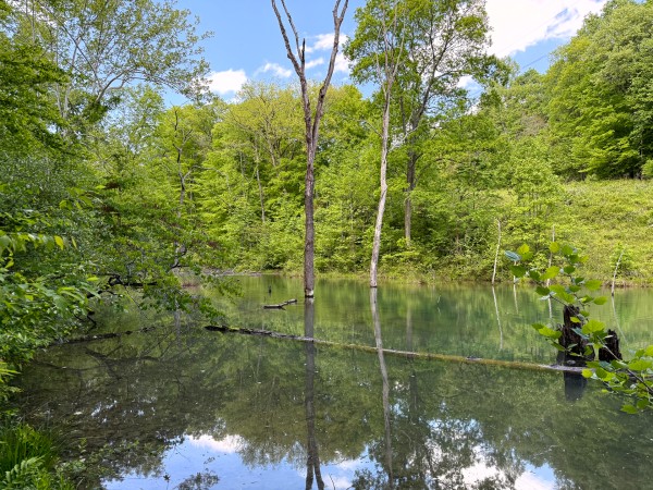 Tract 4 - The Woods at Little Kyger property photo
