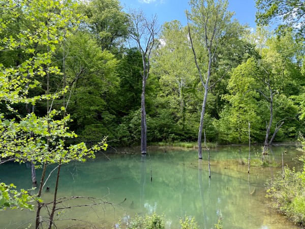 Tract 4 - The Woods at Little Kyger property photo