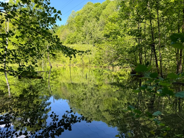 Tract 4 - The Woods at Little Kyger property photo
