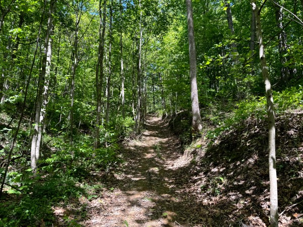 Tract 4 - The Woods at Little Kyger property photo