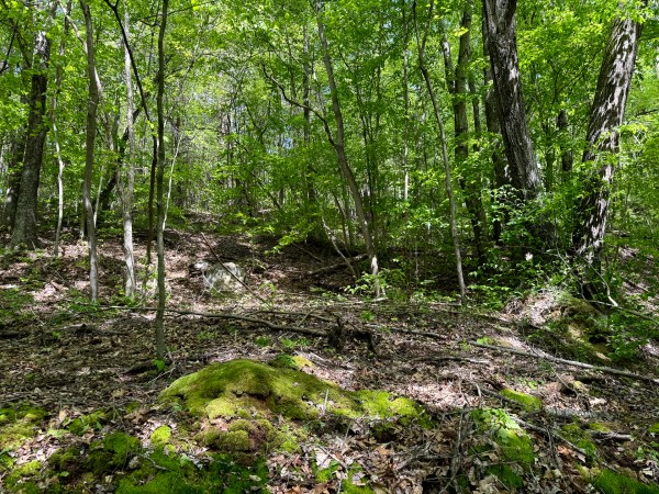 Tract 4 - The Woods at Little Kyger property photo