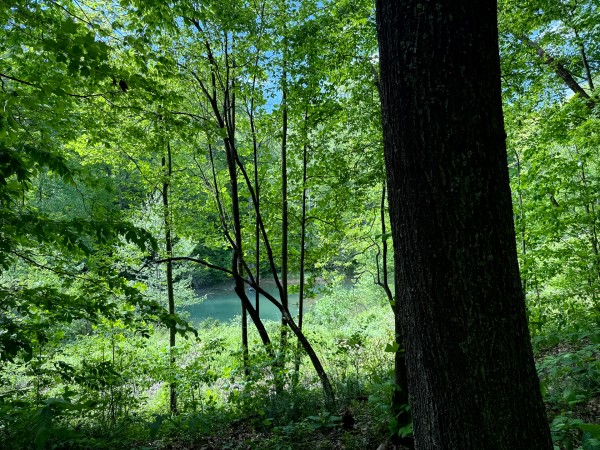 Tract 4 - The Woods at Little Kyger property photo