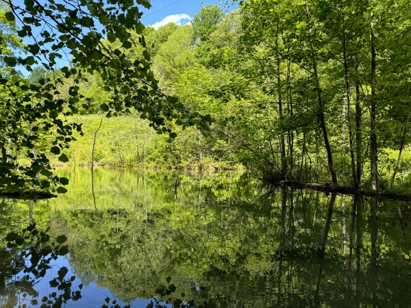 More of Tract 4 - The Woods at Little Kyger
