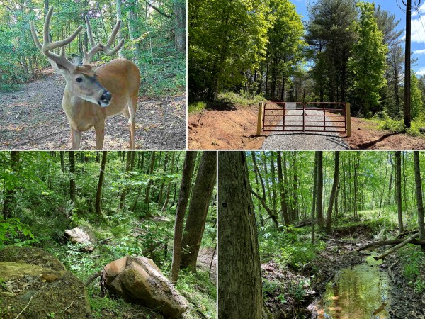 Tract 8 - The Woods at Little Kyger - Gallia County, Ohio - 11.0 acres