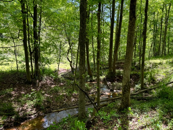 Tract 8 - The Woods at Little Kyger property photo