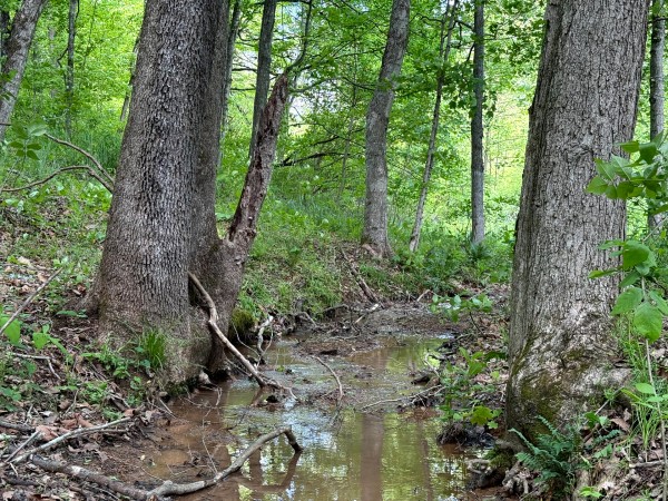 Tract 8 - The Woods at Little Kyger property photo