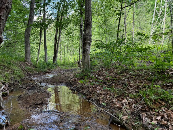 Tract 8 - The Woods at Little Kyger property photo