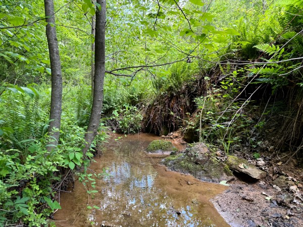 Tract 8 - The Woods at Little Kyger property photo