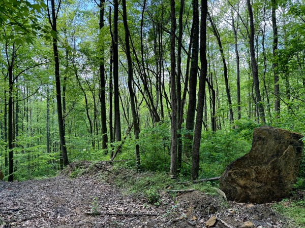 Tract 8 - The Woods at Little Kyger property photo