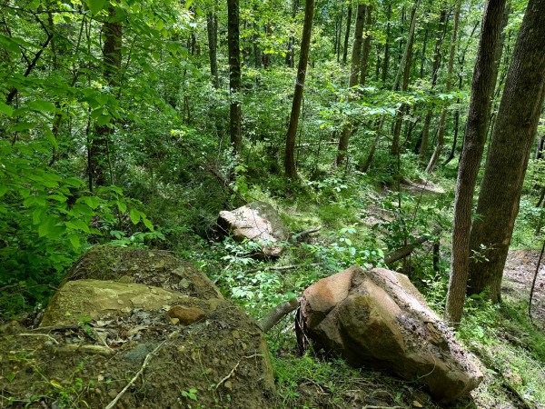 Tract 8 - The Woods at Little Kyger property photo