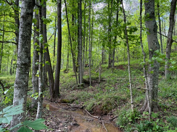 Tract 8 - The Woods at Little Kyger property photo