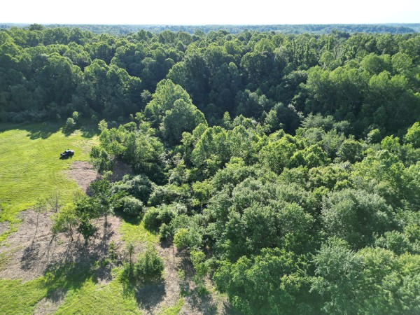 Tract 2 - Albany Hideaway property photo