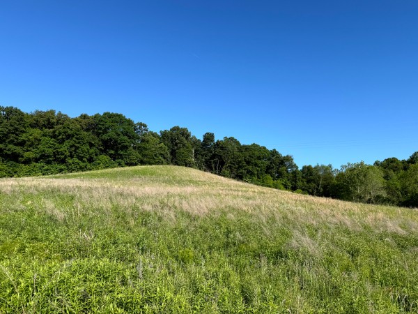 Tract 11 at Jackson Oaks property photo