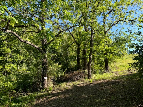 Tract 11 at Jackson Oaks property photo