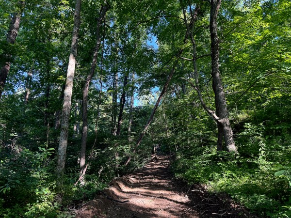 Tract 11 at Jackson Oaks property photo